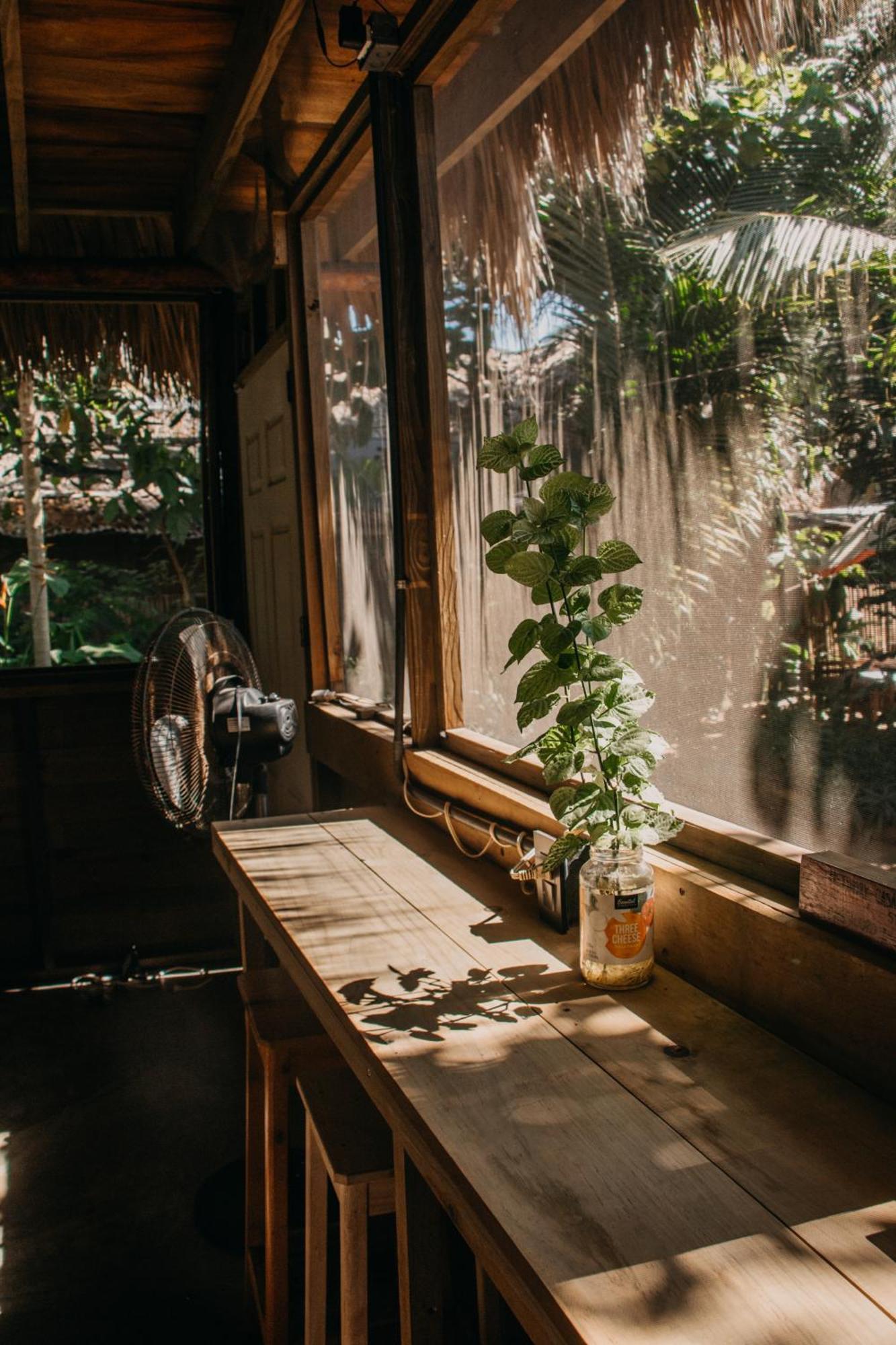 Casa Austera Villa El Paredón Buena Vista Kültér fotó