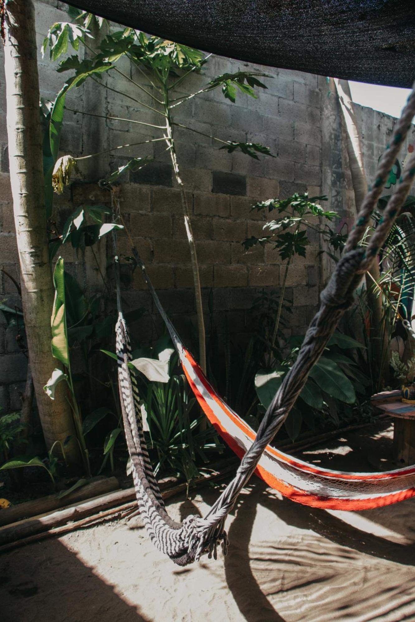 Casa Austera Villa El Paredón Buena Vista Kültér fotó